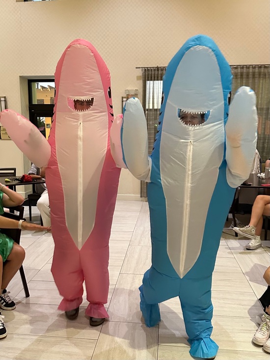 Other - Inflatable Shark Costume!